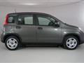 FIAT PANDA 1.0 FIREFLY S&amp;S HYBRID