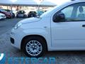 FIAT PANDA 1.2 Easy NEOPATENTATI