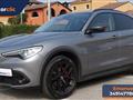 ALFA ROMEO STELVIO 2.2 Turbodiesel 210 CV AT8 Q4 B-Tech