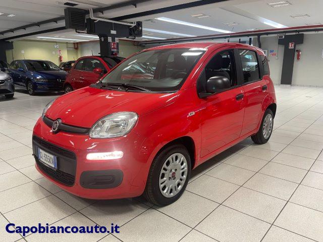 FIAT PANDA 1.0 FireFly S&S Hybrid+5 posti--7.250KM