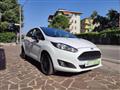 FORD FIESTA black and white