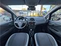 FIAT PUNTO 1.2 8V 5 porte Lounge - NEOPATENTATI