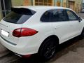 PORSCHE CAYENNE 3.0 Diesel PELLE BOSE PACC CHRONO FINANZIAMENTI