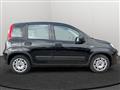 FIAT PANDA My23 1.0 70cv Hybrid Panda