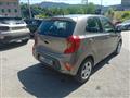 KIA PICANTO 1.0 12V 5 porte Cool -7 ANNI GARANZIA - KM 28.600