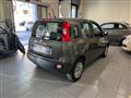 FIAT PANDA 1.2 Lounge 11.900