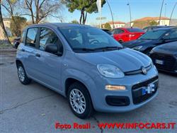 FIAT PANDA 1.2 Easy NEOPATENTATI