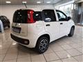 FIAT PANDA VAN 1.0  S&S Hybrid Pop Van 2 posti