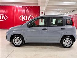 FIAT PANDA III 2021 -  1.0 firefly hybrid s&s 70cv