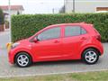 KIA PICANTO 1.0 12V 5 porte Urban