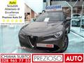 ALFA ROMEO STELVIO 2.2 Turbodiesel 190 CV AT8 Q4 Business