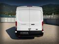 FORD TRANSIT 350 2.0TDCi EcoBlue 170CV PL-TM Furgone Trend