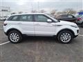 LAND ROVER Range Rover Evoque 2.0 TD4 150CV 5p. Business Edition Pure