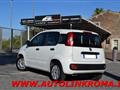 FIAT PANDA 1.2 Easy 5 posti 69CV