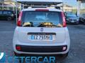 FIAT PANDA 1.2 Easy NEOPATENTATI