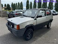 FIAT PANDA 1ª serie 900 i.e. cat Young