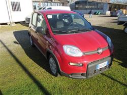 FIAT PANDA 1.0 FireFly S&S Hybrid Pandina