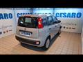 FIAT PANDA 1.0 firefly hybrid 70cv