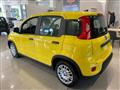 FIAT Panda 1.0 firefly hybrid s&s 70cv