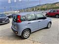 FIAT PANDA III 2016 1.2 Lounge s&s 69cv my19