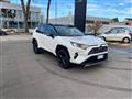 TOYOTA RAV4 2.5 HV (218CV) E-CVT 2WD Style