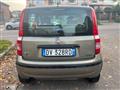 FIAT PANDA 1.2 Dynamic Mamy