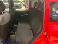 FIAT PANDA 1.0 FireFly S&S Hybrid+5 posti--7.250KM