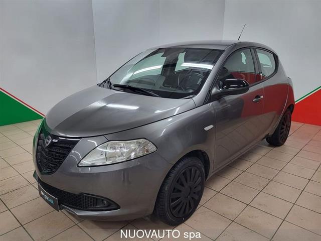 LANCIA YPSILON 1.2 69 CV 5 porte Elefantino