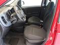 FIAT PANDA 1.0 FireFly S&S Hybrid per neopatentati