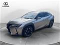 LEXUS UX Hybrid Luxury