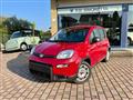 FIAT PANDA 1.0 FireFly S&S Hybrid - KM0