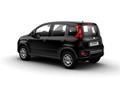 FIAT PANDA 3ª serie 1.0 FireFly S&S Hybrid