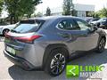 LEXUS UX Hybrid Executive