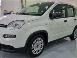 FIAT PANDA 1.0Hybrid 5 Posti sensori adas