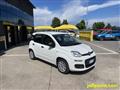 FIAT PANDA 1.0 FireFly S&S Hybrid OK NEOPATENTATI