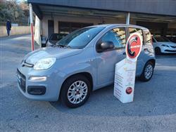 FIAT PANDA 1.2 Easy - 05/2019 - 66.600 KM. UNICOPROPRIETARIO