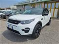 LAND ROVER DISCOVERY SPORT 2.0 TD4 150 CV Auto Business Ed. Premium SE