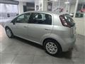 FIAT PUNTO 1.2 8V 5 porte Lounge + GPL ZAVOLI