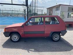 FIAT Panda 1100 i.e. Young