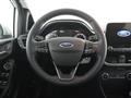 FORD FIESTA 1.1 75 CV GPL 5 porte Titanium