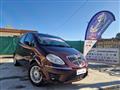 LANCIA MUSA 1.4 Ecochic Gpl 77 Cv Oro