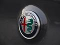 ALFA ROMEO STELVIO 2.0 Turbo 280 CV Q4