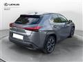 LEXUS UX Hybrid Executive