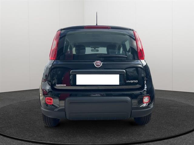 FIAT PANDA My23 1.0 70cv Hybrid Panda