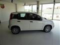 FIAT PANDA 1.3 MJT 95 CV S&S Easy