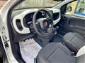 FIAT PANDA 1.0 FireFly S&S Hybrid Pandina - KM0