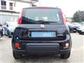 FIAT PANDA 1.0 FireFly S&S Hybrid City Life NEOPATENTATI