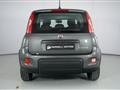 FIAT PANDA 1.0 FIREFLY S&amp;S HYBRID