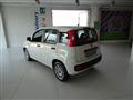 FIAT PANDA 1.3 MJT 95 CV S&S Easy