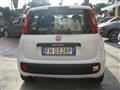 FIAT PANDA 1.2 PANDAZZURRI GPL